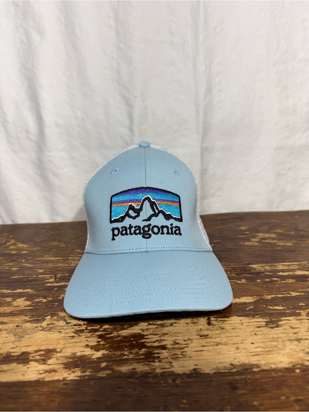Patagonia Kids Sky Blue Logo Trucker Hat